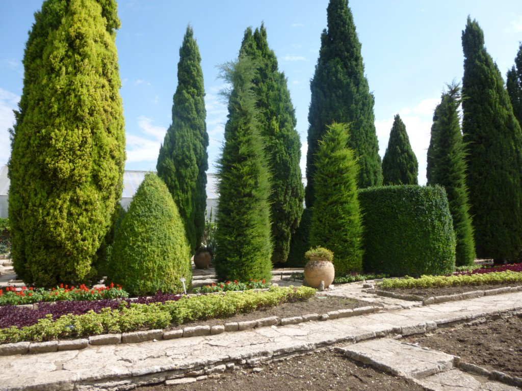 p1010077.jpg