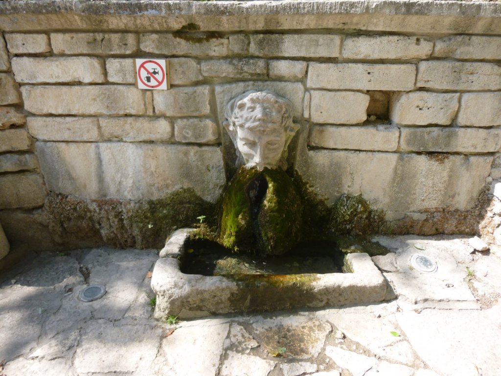 p1010084.jpg